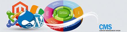 Content Management Systems